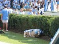 Chapel Hill