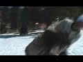 EL ARO - THE RING
