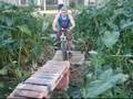 Funny-Bicycle-Fall-o