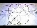 Infina