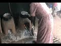 Mingling Posho on the SixBricks Rocket Stove