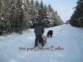 Journée froide d'hiver 2009.wmv