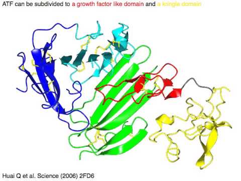 how to administer urokinase