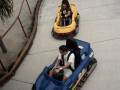 Go Karts!