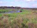 R-TTC-10-13-07-Video