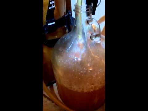 how to harvest yeast from krausen