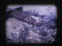 Lake Michigan Beach 1973.mov Lake Michigan Beach 1973.mov