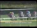 Honeymoon is Over Horse Race