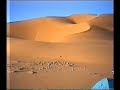 goldgelbe, erotische D�nen, Entspannungs-Musik 1986-12