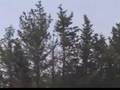 IDF firing at Hizbolla terrorists in Lebanon