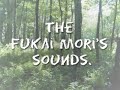 shinjitsu no uta   piano