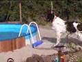is Keesje bang voor water of ???