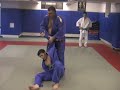 Harai Goshi. http://www.spartakjudo.org