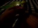 Bozo eating corn Bozo eating corn