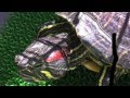 カメ子メモリアル1(2011春〜夏)