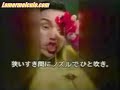 mata cucarachas japo mata cucarachas japo