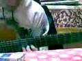 videos de Polka!!