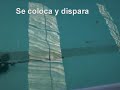 Tiro Subacuático Aguaviva Sub Los Realejos Tenerife