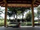 Yoga Sun Salutation in Ponce Puerto Rico