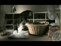 Teletext Holidays Honeys Funny Talking Cat Advert