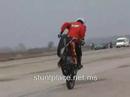 crazy stunts stunt crazy stunts stunt