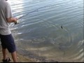 Fishing Made Easy for Kidz3