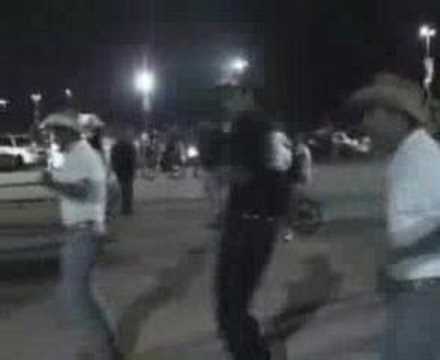 La hormiga y sus Tejano style desde ...