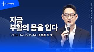 지금 부활의 몸을 입다