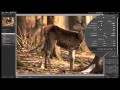 Lightroom : Traitement D une Image Sur Exposée