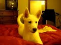 Kaiser Says 'I Love You'