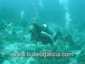 Manta ray in Maldives