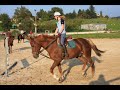 ecurie plein champs cours dressage 20 septembre 08
