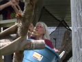 Make-A-Wish kids visit Jungle Friends