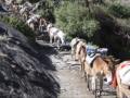Trekking in Nepal, February 2005