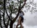 a monkey