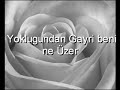 Beyaz G�ll�m