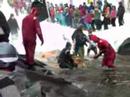 Pond Skimming, Bolton Valley