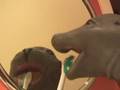 AMAZING SELF GROOMING PET !!! **MUST SEE** CLEAN SEAL