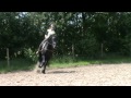 Antoinette met Wytze en Anneke met Roel