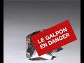dernier-printemps-du-galpon-sur-le-site-artamis.html