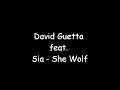 David Guetta feat. Sia - She Wolf [Lyrics]