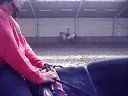 galop d\