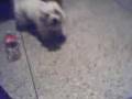 videos de Somos de calle