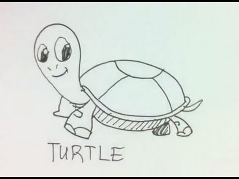 how to draw turtles