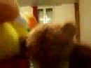 Nounours et Scritch Nounours et Scritch