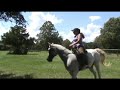 Peggy Finnerty and Sam Parelli Level3 Assessment Finesse