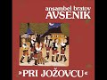 Ansambel bratov Avsenik - Na Mostu (LP) Ansambel bratov Avsenik - Na Mostu (LP)