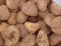 LES TRUFFES DU DESERT LES TRUFFES DU DESERT