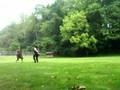 Fighting Contest - Lumberton, June 608