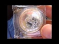 There is more to China coins than Panda Coins: Introducing Chinese Silver Unicorn Coins